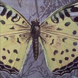 Meet your Posher, Carolyn